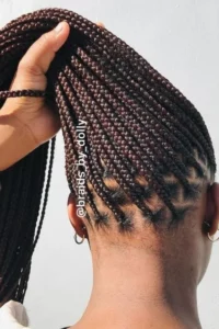 Small Knotless Braids in a Chic Ponytail